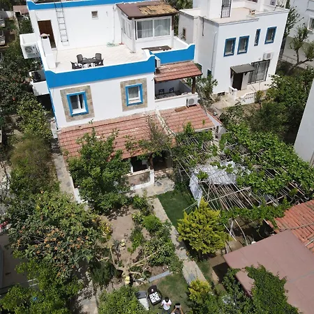 Apartment Apart Turgutreis